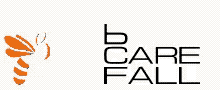 bCAREfall